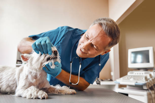 Best Walk-In Emergency Dentist in Villa Hills, KY